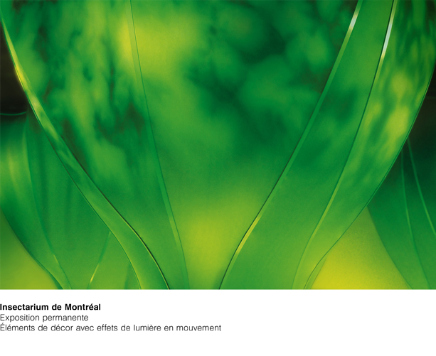 Insectarium Éléments de décor