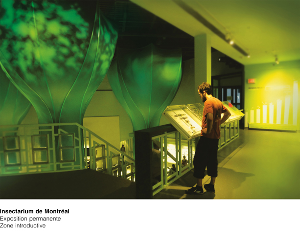 Insectarium Zone introductive