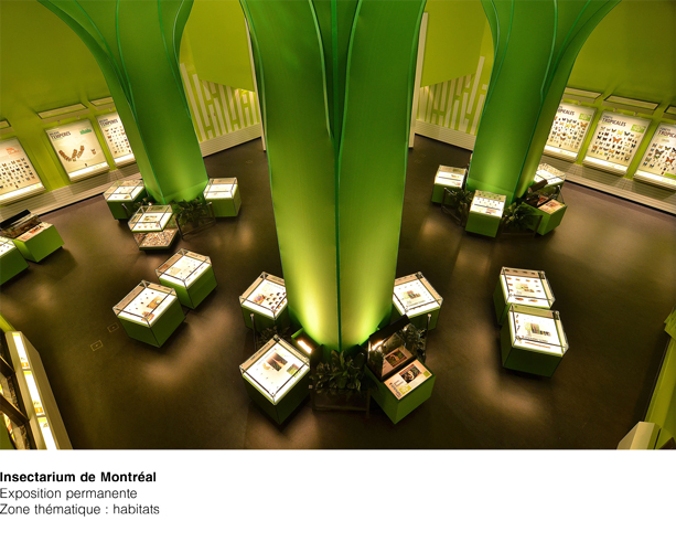 Insectarium Zone thématique habitats