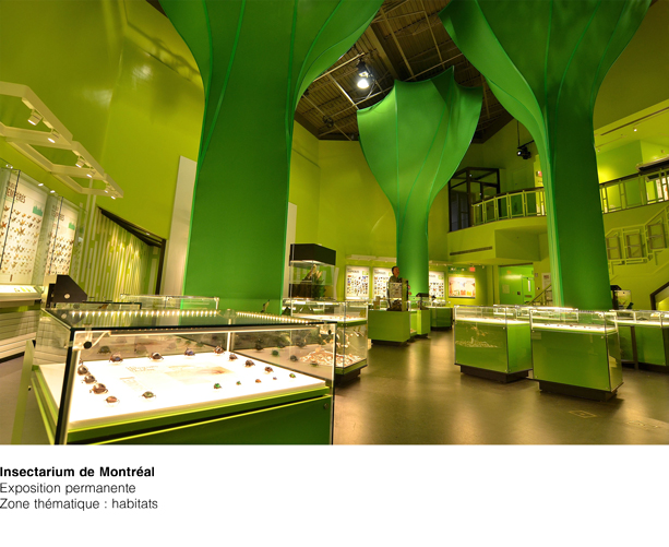 Insectarium Zone thématique habitats