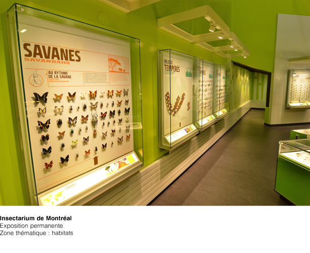 Insectarium Zone thématique habitats