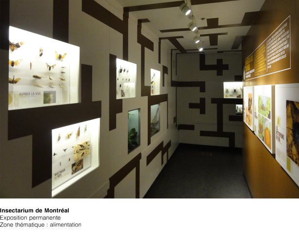 Insectarium Zone thématique alimentation