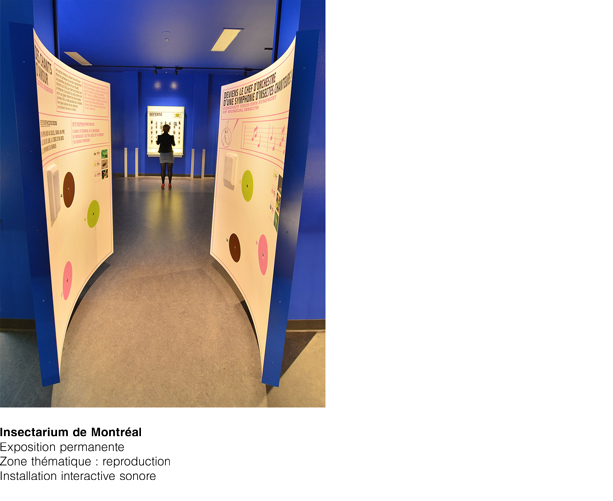 Insectarium interactif