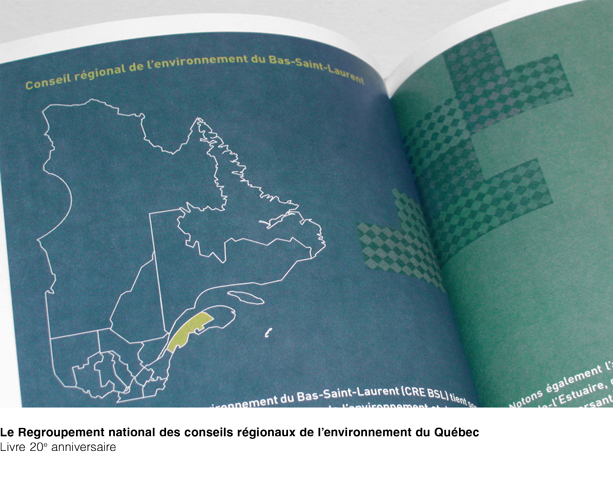 Livre anniversaire du Regroupement national des conseils régionaux de l'environnement du Québec