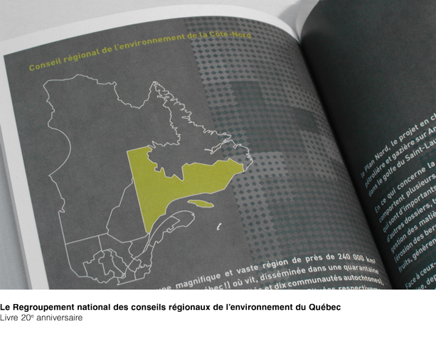 Livre anniversaire du Regroupement national des conseils régionaux de l'environnement du Québec