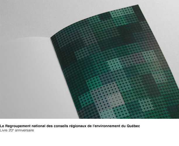 Livre anniversaire du Regroupement national des conseils régionaux de l'environnement du Québec